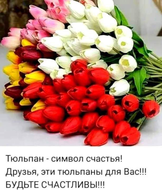 Тюльпан символ счастья Друзья эти тюльпаны для Вас БУДЬТЕ СЧАСТЛИВЫ