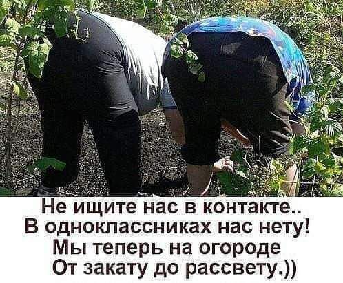 Не ищите нас в контакте В одноклассниках нас нету Мы теперь на огороде От закату до рассвету