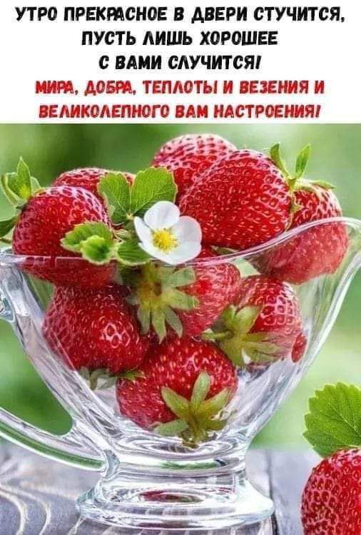 УТРО ПРЕКМСНОЕ В АВЕРИ ОТУЧИТСЯ ПУСТЬ ЛИШЬ ХОРОШЕЕ с ВАМИ САУЧИТСЯі МБМ ТЕПАОТЫ и ЕЕШЯ И ВЕАИКОАЕПМОГО ПАИ ИАСТРИШЯ