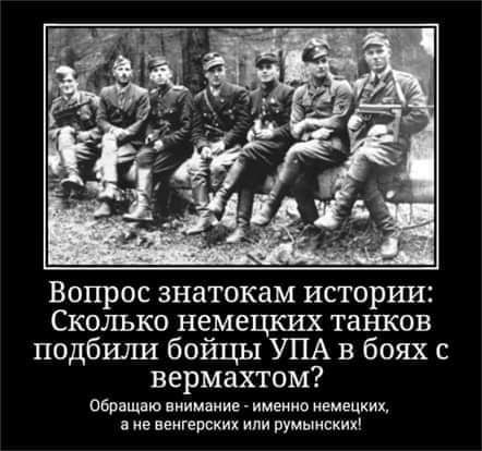 Вопрос знатокам исторгла Сколько немецких танков подбили бойцы УПА в боях с вермахтом Обращшо ннимниие ииеиио емецких не венгерских или румынских