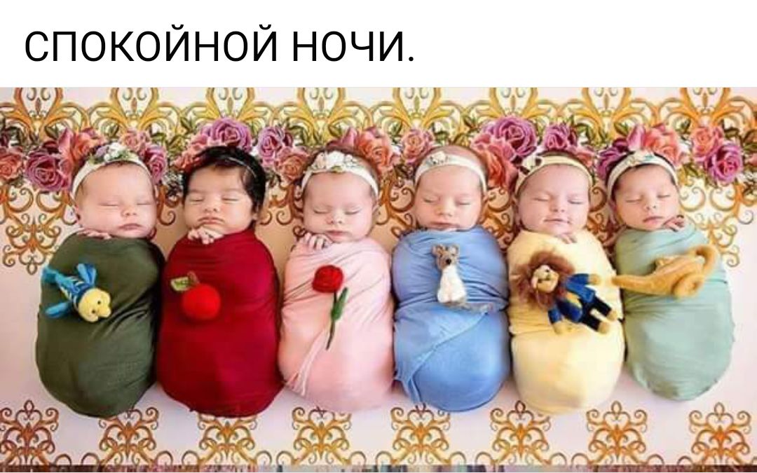 СПОКОЙНОЙ НОЧИ МЕДу