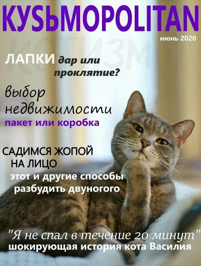 кузьмороытдм дар или проклятие Выбор недвижимости пакет ИЛИ КОРОБКЭ САДИМСЯ ЖОПОЙ Я не спал в т шокирующая ист