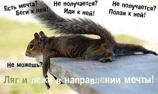 не можешь