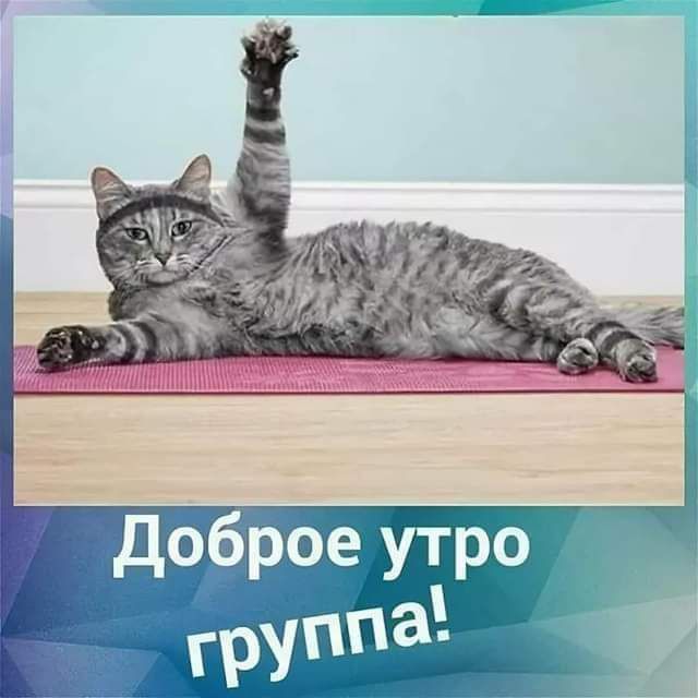 Д оброе ут грУаро