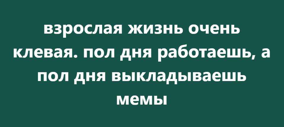 взрослая ЖИЗНЬ очень клевая ПОЛ дня работаешь а пол дня выкладываешь мемы