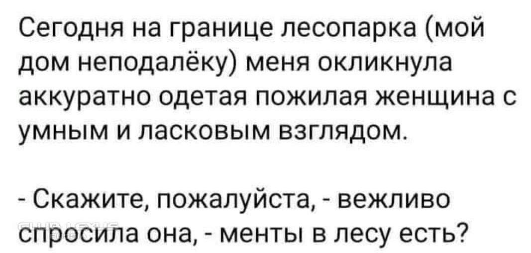 Сегодня на границе лесопарка мой дом неподалёку меня окликнула аккуратно одетая пожилая женщина с умным и ласковым взглядом Скажите пожалуйста вежливо спросила она менты в лесу есть