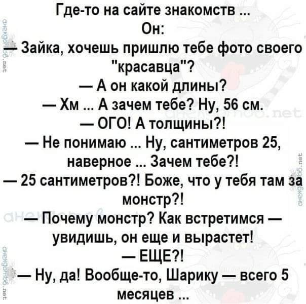 Где то на сайте знакомств Он Зайка хочешь пришлю тебе фото своего красавца А он какой длины Хм А зачем тебе Ну 56 см ОГО А толщины Не понимаю Ну сантиметров 25 наверное Зачем тебе 25 сантиметров Боже что у тебя там за монстр Почему монстр Как встретимся увидишь он еще и вырастет ЕЩЕ Ну да Вообще то Шарику всего 5 месяцев