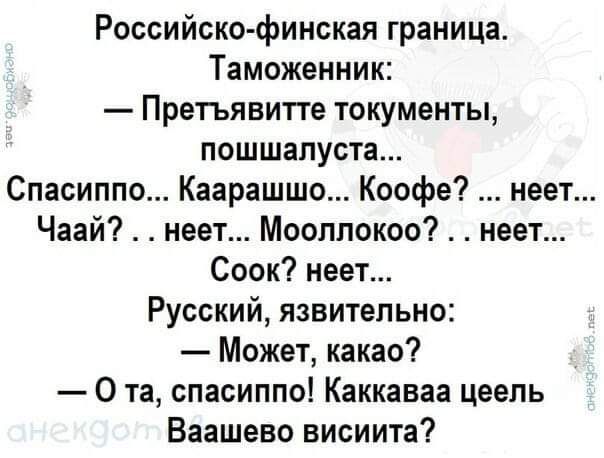 Российско финская граница Таможенник Прегьявитте токументы пошшапуста Спасиппо Каарашшо Копфе неет Чаай неет Мооплокоо неет Соок неет Русский язвительно Может какао О та спасиппо Каккаваа цеепь Ваашево висиита