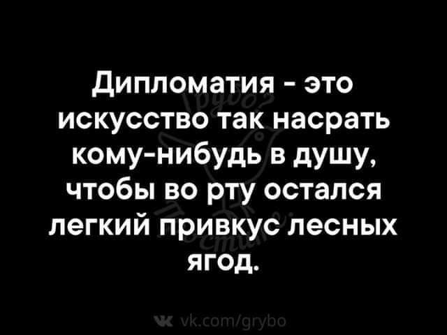 дипломатия это искусство так насрать кому нибудь в душу чтобы во рту остался легкий привкус лесных ягод