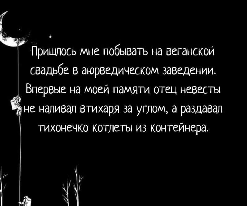 Пришлось Мне побывать на веганской свадьбе в аюрведическом заведении Впервые на моей памяти отец невесты не наливая втихаря за углом а раздавал тихонечко котлеты из контейнера