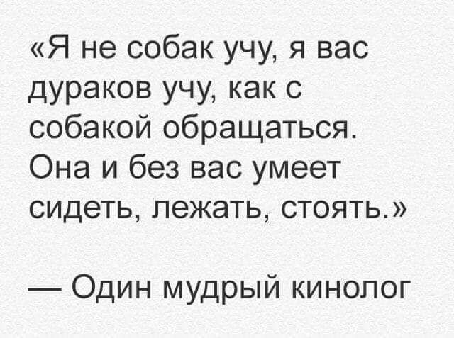 Я не собак учу я вас дураков учу как с собакой обращаться Она и без вас умеет сидеть лежать стоять Один мудрый кинопог