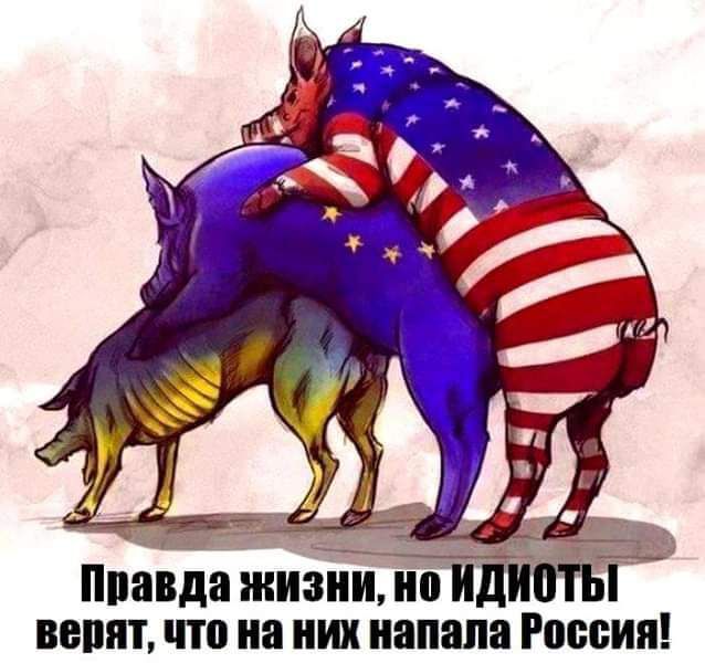 ппавда жизни но вопит по на них напала России