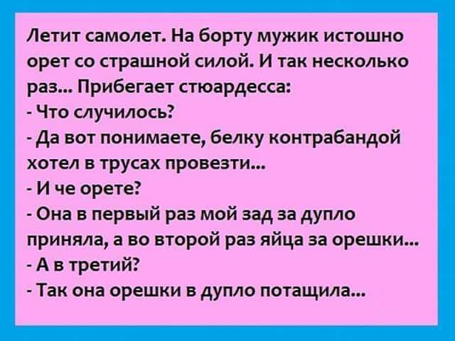 Летит самолет На борту мужик истошно орет со страшной силой И так несколько раз ПриБегает стюардесса Что случилось да вот понимаете белку контрабандой хотел в трусах провезти И че орете Она в первый раз мой зад за дупло приняла во второй раз яйца за орешки А в третий Так она орешки в дупла потащила