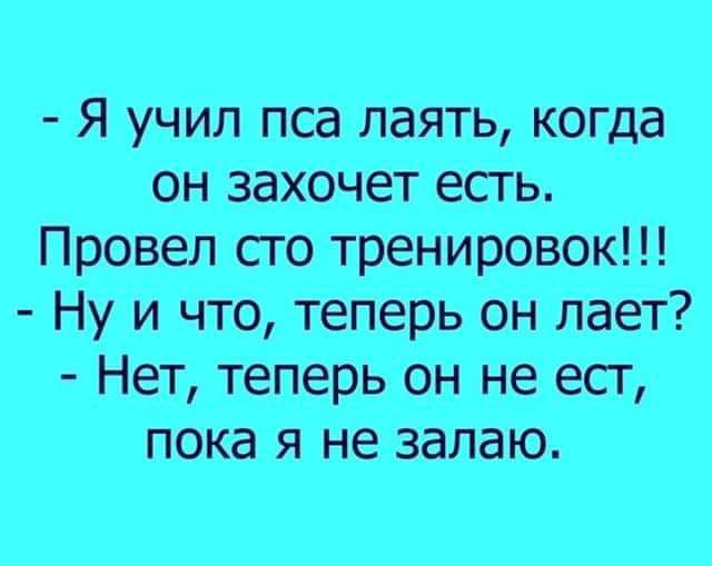 Я учил пса лаять когда он захочет есть Провел сго тренировок Ну и что теперь он лает Нет теперь он не есг пока я не запаю