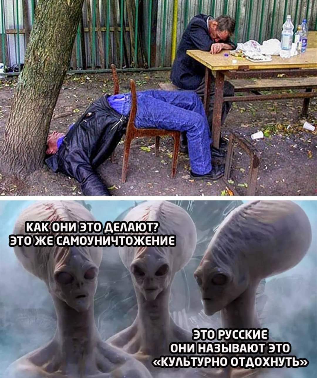 ЭТП ЖЕ САМОУНИЧТОЖЕЁИ _ Ж ОНИ_ НАЗЫВАЮТ ЭТО КУЛЬТУРНО 0ТА0ХНУТЬ _г