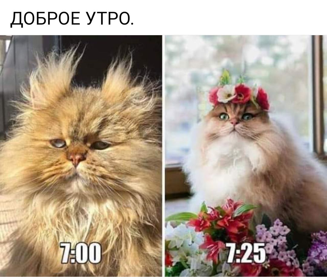 ДО БРО Е УТРО