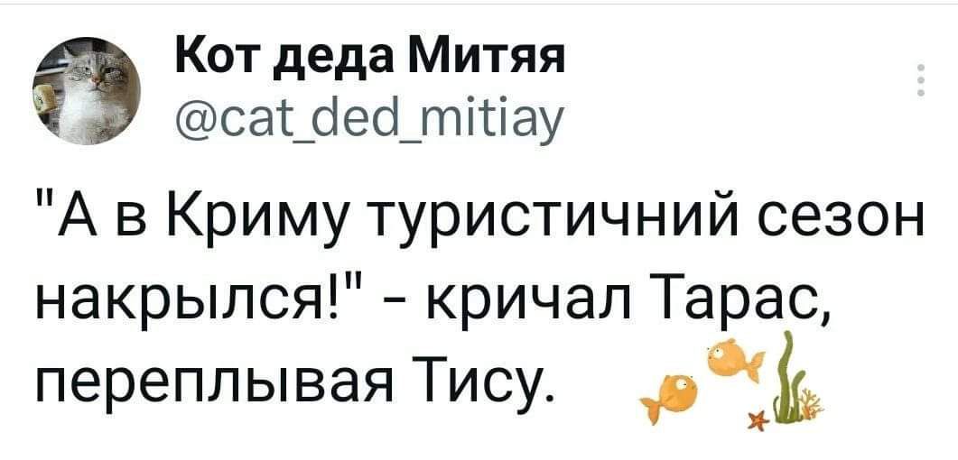 Кот деда Митяя саШефтігіау А в Криму туристичний сезон накрылся кричал Тарас переплывая Тису