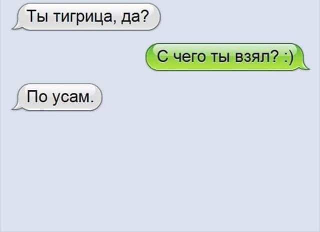 Ты тигрица да По усам