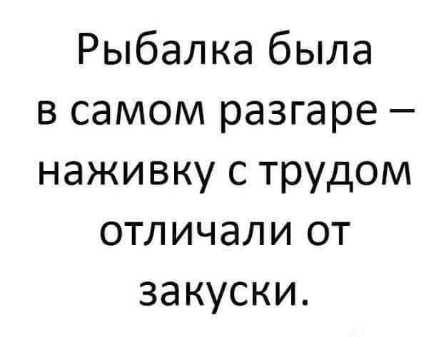 Рыбалка была в самом разгаре наживку с трудом отличали от закуски