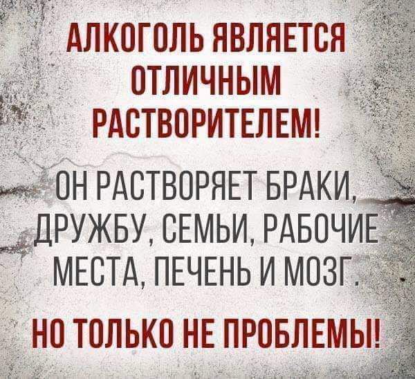 Алкоголь являвтс отличным рдстваритвлвмч ОН РАСТВПРЯЕТ БРАКИ ДРУЖБУ СЕМЬИ РАБПЧИ МЕСТА ПЕЧЕНЬ И МПЗГЁ НП ТОЛЬКО НЕ ПРОБЛЕМЫ