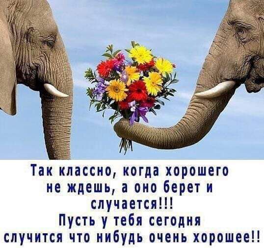 Так классно когда хорошего не ждешь а оно берет и случается Пусть у тебя сегодня случится что нибудь очень хорошее