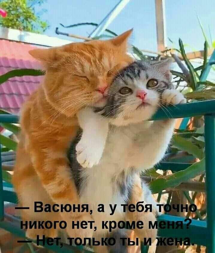 _ __ Васюня а утЪбя то нет к е Ёе