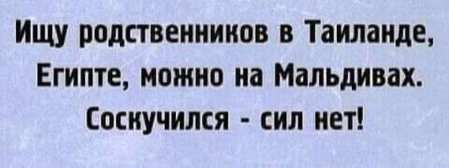 Ищу родственников в Таиланде Египте можно на Мальдивах Сосиучился сил нет