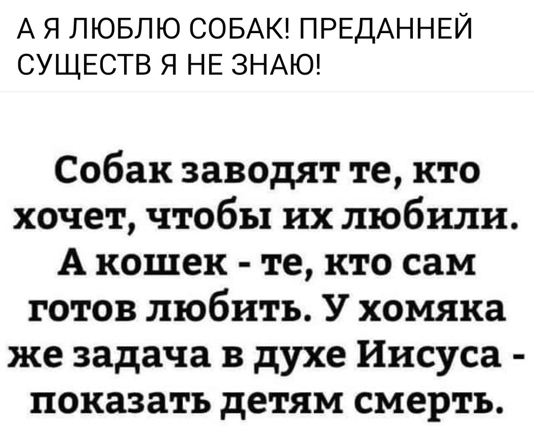 А Я ЛЮБЛЮ СОБАК ПРЕДАННЕЙ СУЩЕСТВ Я НЕ ЗНАЮ Собак заводят те кто хочет чтобы их любили А кошек те кто сам готов любить У хомяка же задача в духе Иисуса показать детям смерть