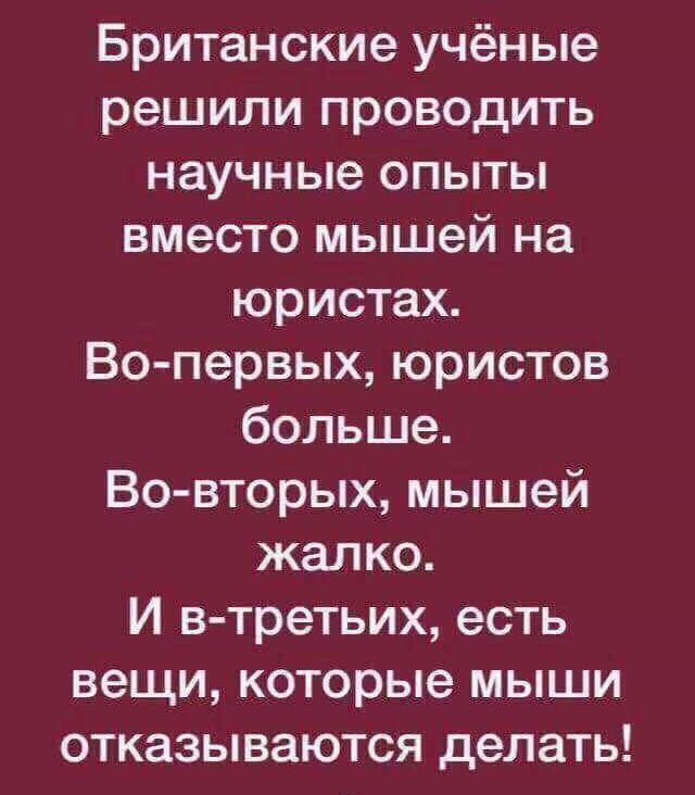 Британские учёные решили проводить научные опыты вместо мышей на юристах Во первых юристов больше Во вторых мышей жалко И в третьих есть вещи которые мыши отказываются делать