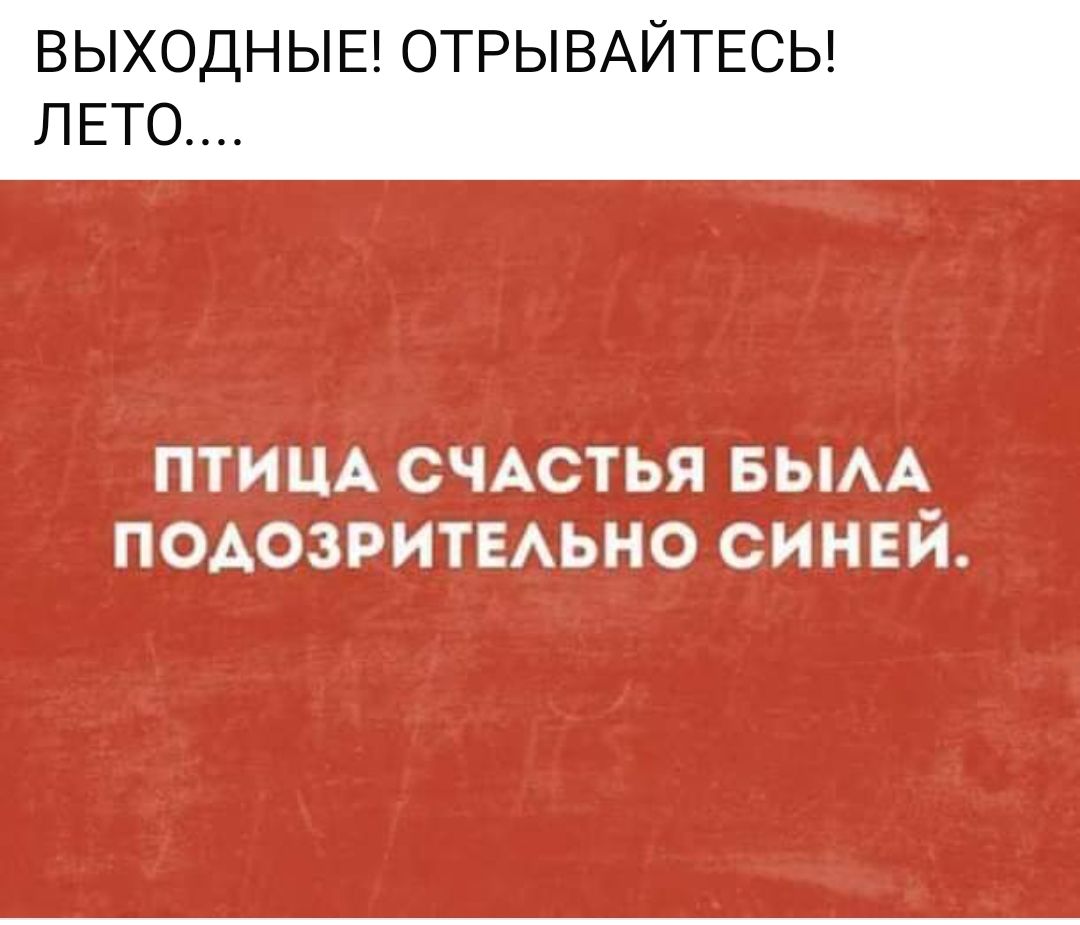 ВЫХОДНЫЕ ОТРЫВАЙТЕСЬ ЛЕТО птищ СЧАСТЬЯ вым ПОАОЗРИТЕАЬНО синай