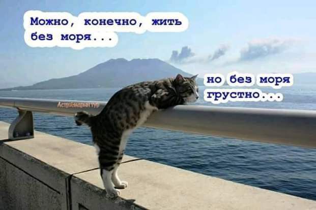 можно конечно жить без Фря но Без моря грустно