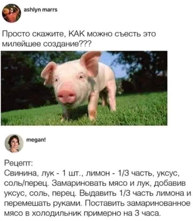 а мы шп Просю скажите КАК можно съесть это милейшее создание о Рецепт Свинина пук 1 шт _ лимон 13 часть уксус сольперец Замариновать мясо и лук добавив уксус соль перец Выдавить 13 часть лимона и перемешать руками Поставить замаринованное мясо в холодильник примерно на 3 часа