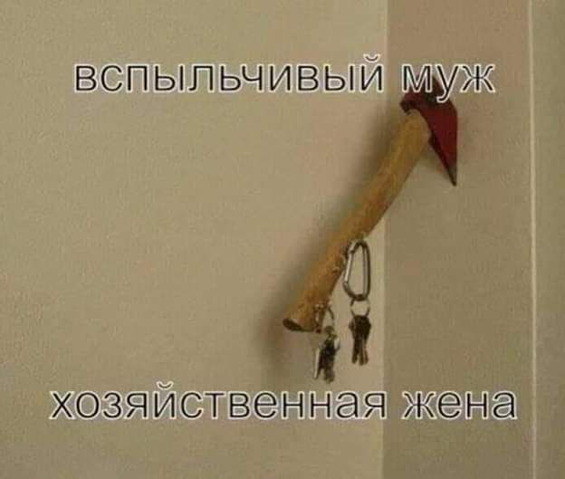 вспыльчивыи Муж хозяИственная жена