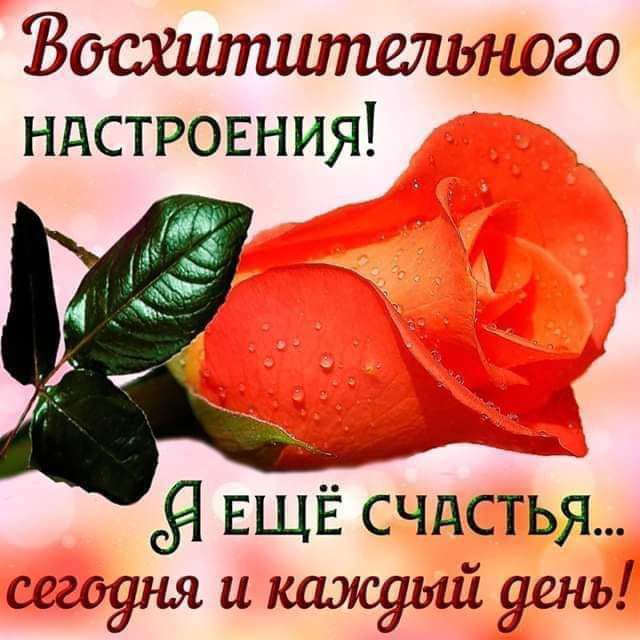 Восхипиипешлшго ндстровния ЕЩЕ счдстЬя сегодня и каждый день