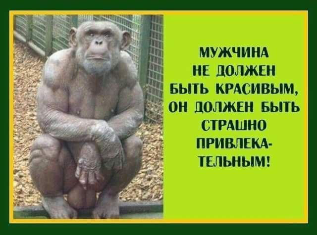 МУЖЧИНА _ НЕ должвн выть кмсивым он полжш вьпь СТРАШНО ПРИВЛПЩ ТЕЛЬНЫМ