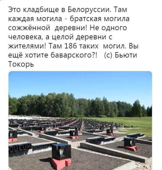 Это кладбище в Белоруссии Там каждая могила _ братская могила сожженной деревни Не одного человека а целой деревни жителями Там 186 таких могил Вы ещё хотите баварского1 с Бьюти Токарь