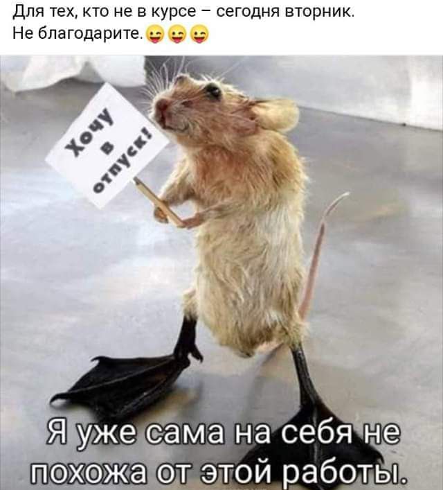 Для тех кто не в курсе сегодня вторник Не бпагодарите