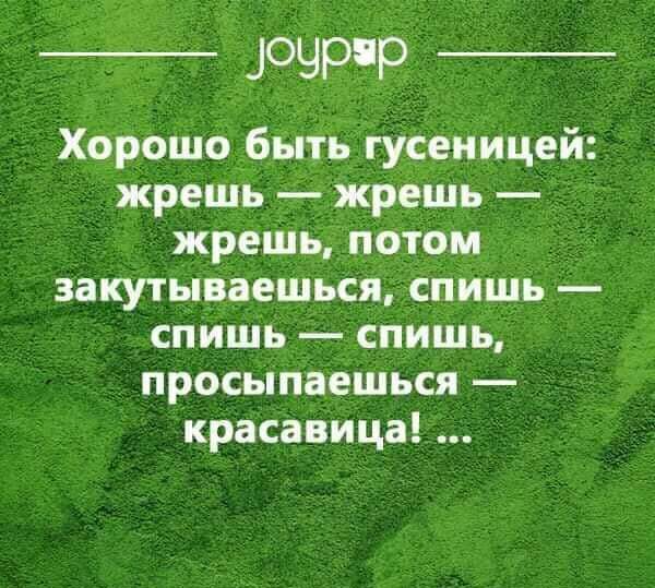 _ очрчр Хорошо быть гусеницей жрешь жрешь жрешь потом закутываешься спишь спишь спишь просыпаешься красавица