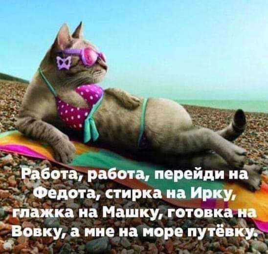 куа мне на море пут8