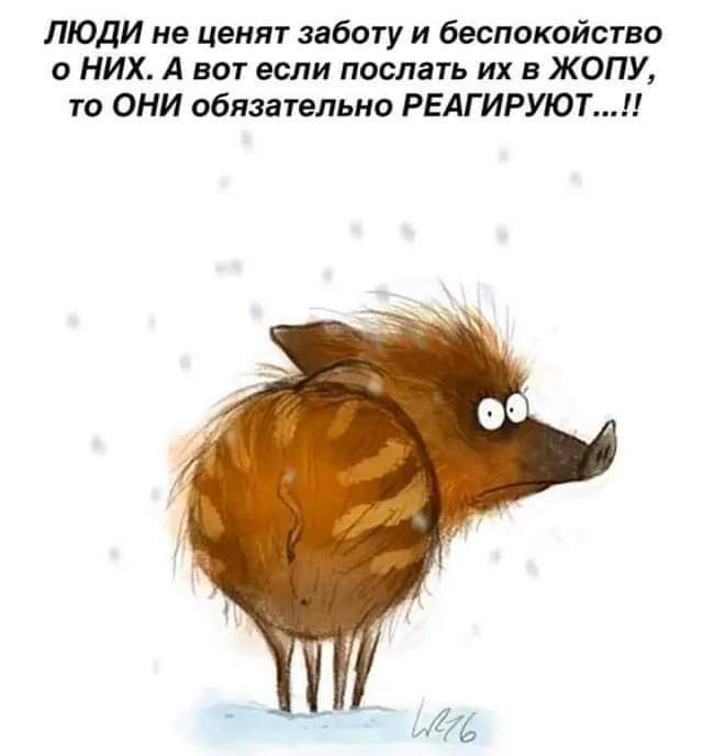 люди не ценят заботу и беспокойство о НИХ А вот если послать их в ЖОПУ то ОНИ обязательно РЕАГИРУЮТ