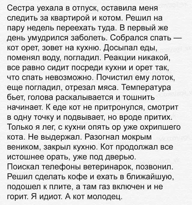 Сестра уехала в отпуск оставила меня следить за квартирой и котом Решил на пару недель переехать туда В первый же день умудрился заболеть Собрался спать кот орет зовет на кухню Досыпал еды поменял воду погладил Реакции никакой все равно сидит посреди кухни и орет так что спать невозможно Почистип ему поток еще погладил отрезал мяса Температура бьет голова раскалывается и тошнить начинает К еде кот