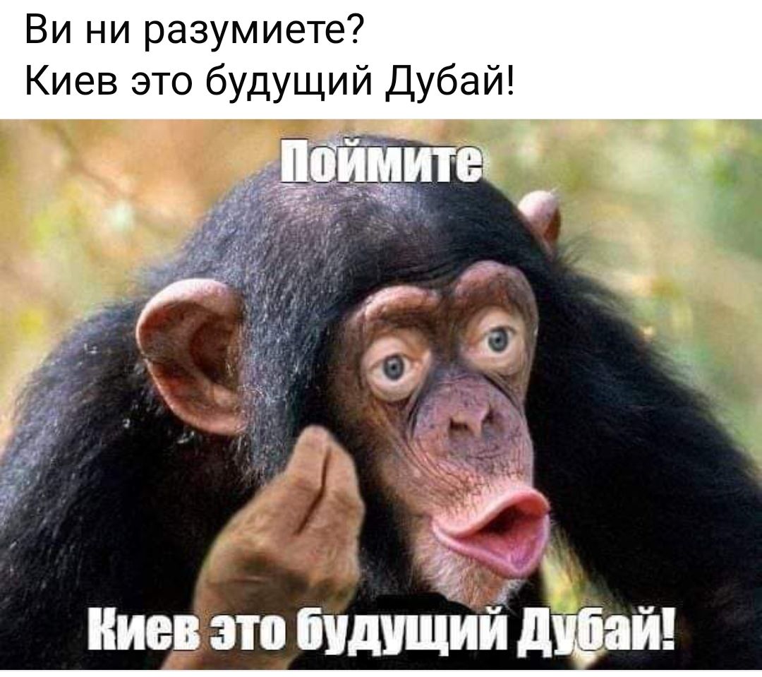 Ви ни разумиете Киев это будущий Дубай