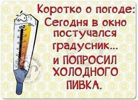 Коротко о погоде Сегодня в окно постучался градусник и ПОПРОСИЛ ХОЛОДНОГО ПИВКА _