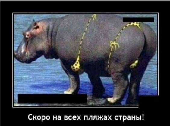 Скоро на всех пляжах страпы