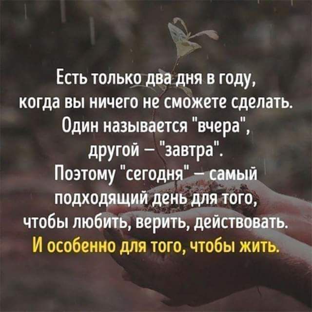 Есть только два дня в году когда вы ничего не сможете сделать Один называется вчера другой завтра Поэтому сегодня саиый подходящийдень дня того чтобы любить верить дейсгвовць И особенно для того чтобы жить