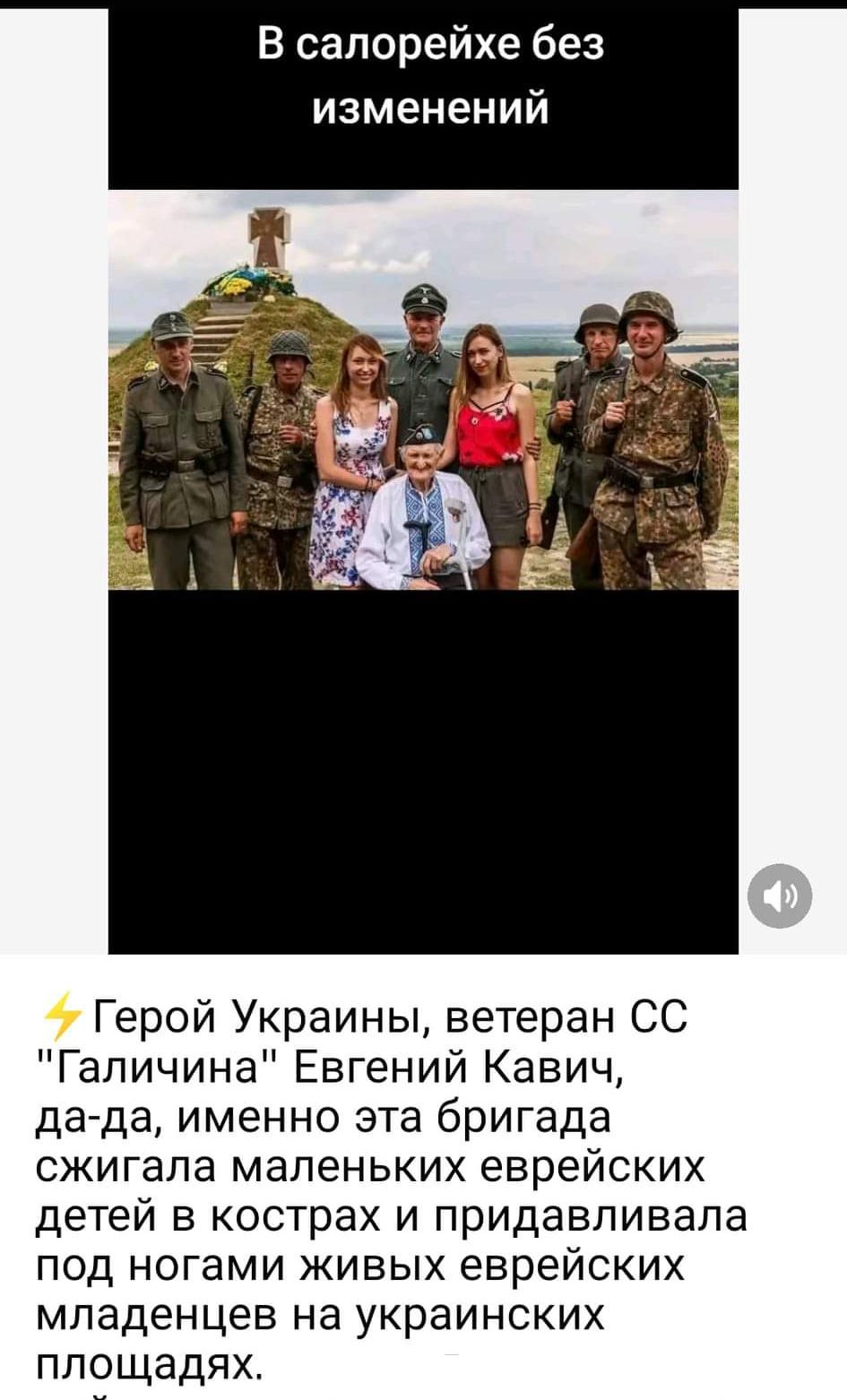 В салорейхе без изменений Герой Украины ветеран СС Галичина Евгений Кавич да да именно эта бригада сжигала маленьких еврейских детей в кострах и придавпивапа под ногами живых еврейских младенцев на украинских площадях
