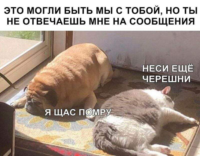 ЭТО МОГЛИ БЫТЬ МЫ С ТОБОЙ НО ТЫ НЕ ОТВЕЧАЕШЬ МНЕ НА СООБЩЕНИЯ из неси ЕЩЁ черешни Е