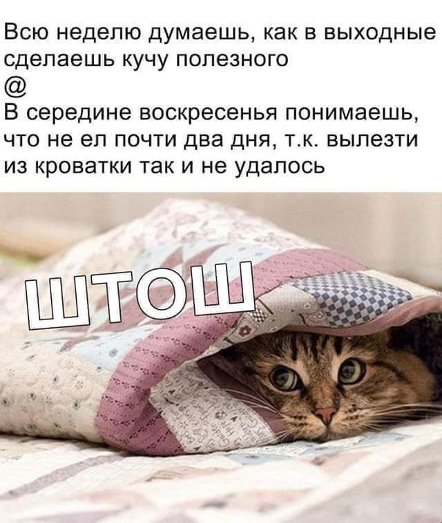 Всю неделю думаешь как в выходные сделаешь кучу полезного В середине ВОСКРЕСЕНЬЯ понимаешь ЧТО не ел ПОЧТИ два дНЯ ТК БЫПЭЗТИ ИЗ КРОБЗТКИ ТЗК И не удалось