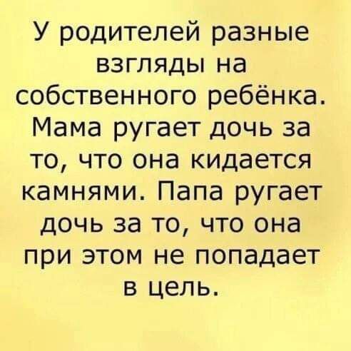 У родителей разные взгляды на собственного ребёнка Мама ругает дочь за то что она кидается камнями Папа ругает дочь за то что она при этом не попадает в цель