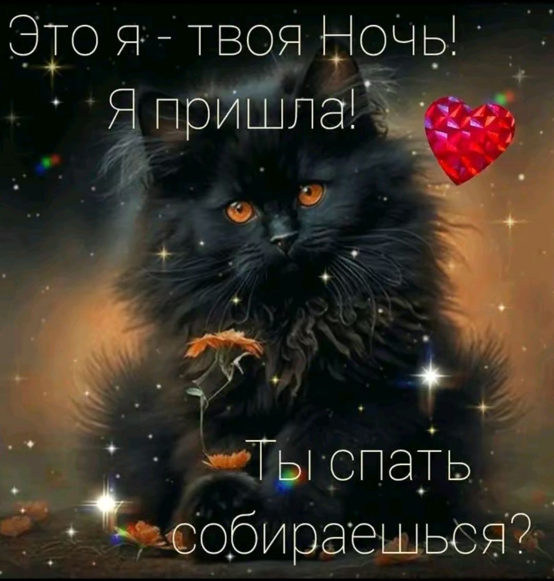 Это Я ТВОЯ ночы о_бираешьсЯЗ А